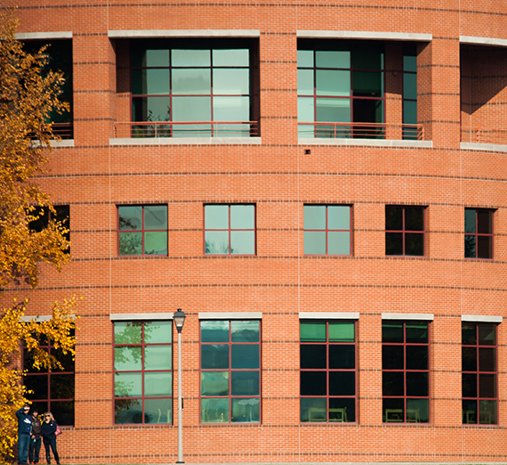Headshots of new faculty entering the 2025-26 academic year.